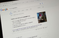 Google’s new snippet settings give webmasters control over their search listings display